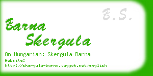 barna skergula business card